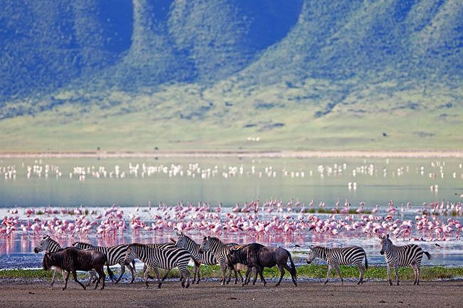 Rezerwat Ngorongoro