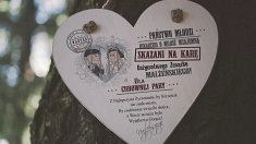 Film ślubny - Wesele w plenerze 2017