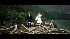 filmy wesele - Proszowice