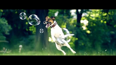 Kamerzysta na wesele: Marcin, Szczecin - portfolio