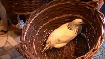 Grzegorz - kamerzysta Bielsko-Biała