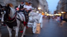 Film Ślubny - Kraków