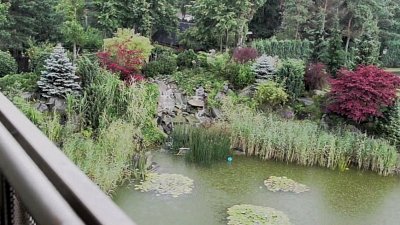 Kamerzysta na wesele: Jakub, Warszawa - portfolio