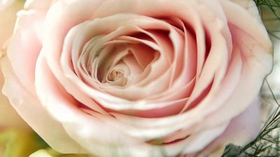 Kamerzysta na wesele: Krystian, Łomża - portfolio