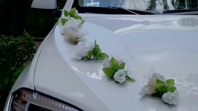 Robert - kamerzysta Kraków