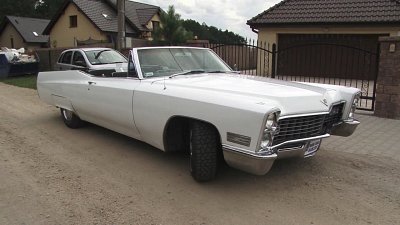 Kamerzysta na wesele: Robert, Kalisz - portfolio