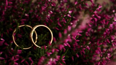 Kamerzysta na wesele: Dominik, Olsztyn - portfolio