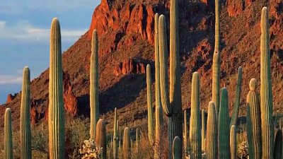 Kamerzysta na wesele: Jerzy, Drezdenko - portfolio