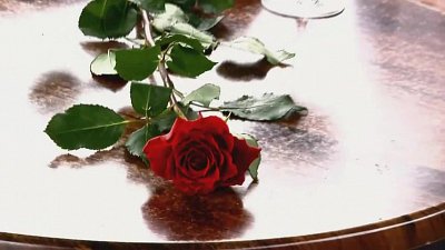 Kamerzysta na wesele: LUDWIK, Ostróda - portfolio