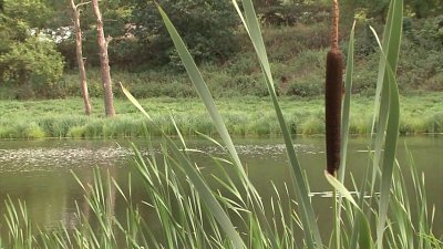 Kamerzysta na wesele: Waldemar, Włocławek - portfolio