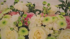 kamera - Dobrzeń Wielki