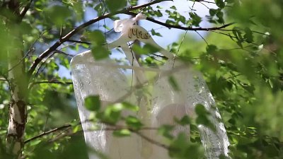 Kamerzysta na wesele: Tomasz, Kraków - portfolio