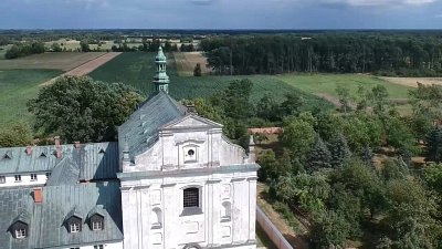 Aleksander - kamerzysta Warszawa