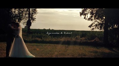 Daniel - kamerzysta Kraków