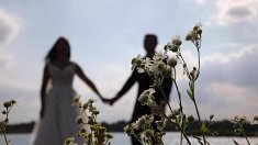filmy wesele - Bochnia