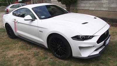 Robert - kamerzysta Kalisz