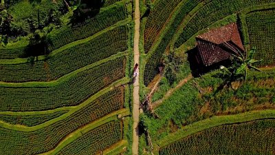 Kamerzysta na wesele: Marcin, Kraków - portfolio