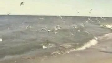 Mirosław - kamerzysta Katowice