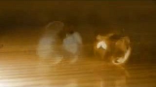 Jacek - kamerzysta Nędza