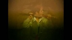 filmowanie - Brzoza