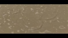 filmowanie - Kołobrzeg + Kraków - film z wesela
