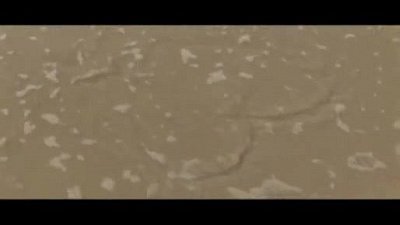 Dorota - kamerzysta Kraków