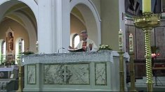 video - Zduńska Wola