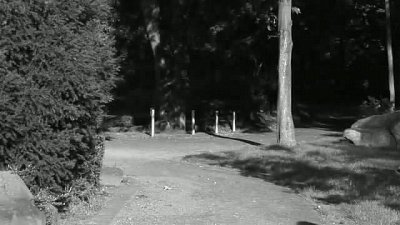 Piotr - kamerzysta Św. Katarzyna