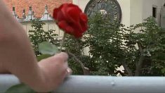 videofilmowanie - Brzeźnica + Kraków - film z wesela