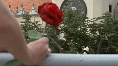 videofilmowanie - Brzeźnica + Kraków - film z wesela